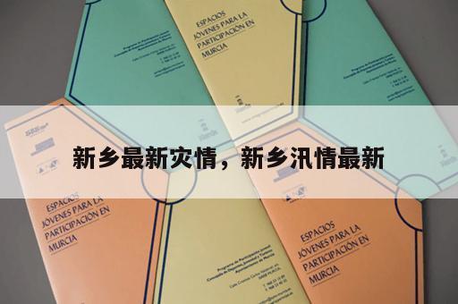 新乡最新灾情，新乡汛情最新