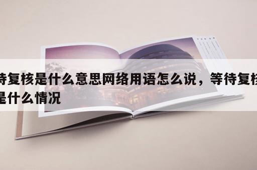 待复核是什么意思网络用语怎么说，等待复核是什么情况