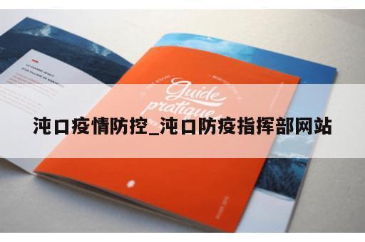 沌口疫情防控_沌口防疫指挥部网站