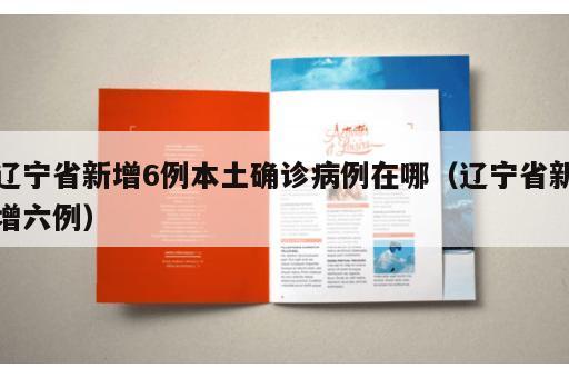 辽宁省新增6例本土确诊病例在哪（辽宁省新增六例）