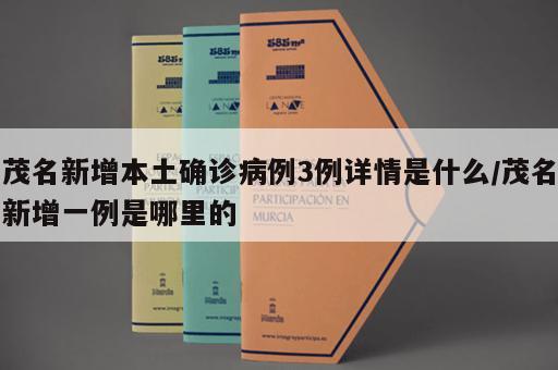 茂名新增本土确诊病例3例详情是什么/茂名新增一例是哪里的