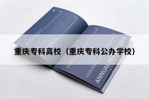 重庆专科高校（重庆专科公办学校）