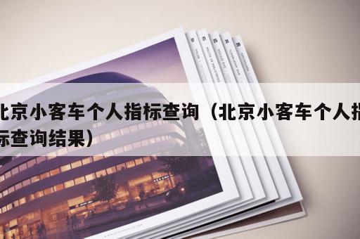 北京小客车个人指标查询（北京小客车个人指标查询结果）