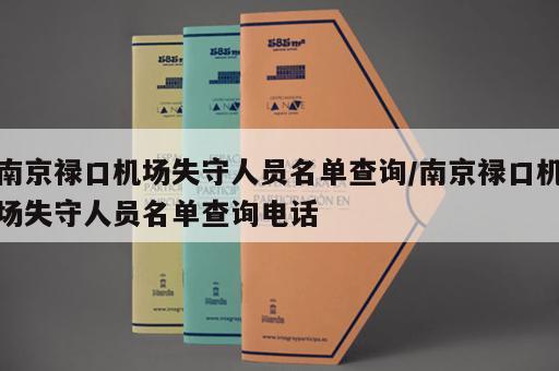 南京禄口机场失守人员名单查询/南京禄口机场失守人员名单查询电话