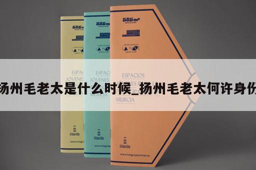 扬州毛老太是什么时候_扬州毛老太何许身份