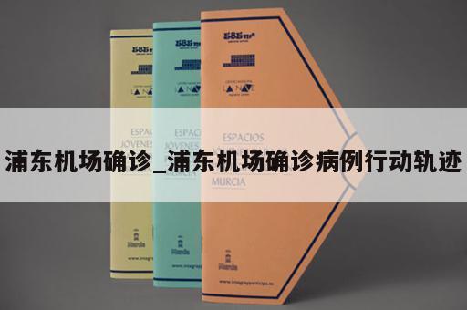 浦东机场确诊_浦东机场确诊病例行动轨迹