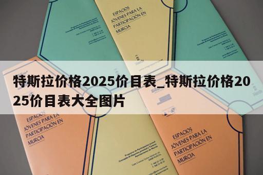特斯拉价格2025价目表_特斯拉价格2025价目表大全图片