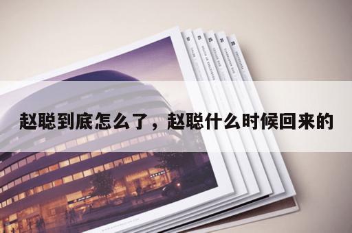 赵聪到底怎么了，赵聪什么时候回来的