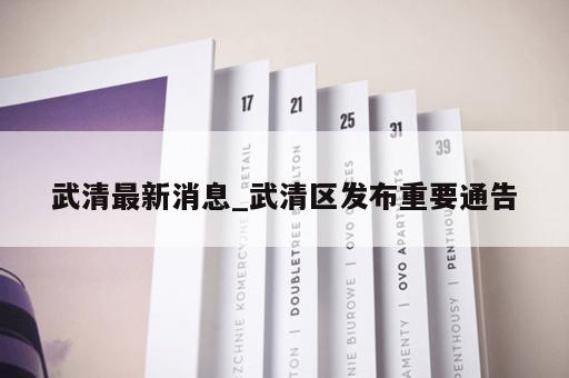 武清最新消息_武清区发布重要通告