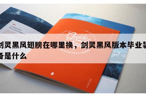 剑灵黑风翅膀在哪里换，剑灵黑风版本毕业装备是什么