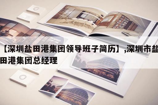 【深圳盐田港集团领导班子简历】,深圳市盐田港集团总经理