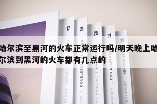 哈尔滨至黑河的火车正常运行吗/明天晚上哈尔滨到黑河的火车都有几点的
