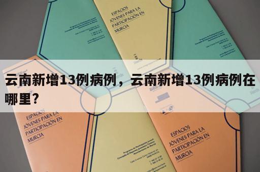 云南新增13例病例，云南新增13例病例在哪里?