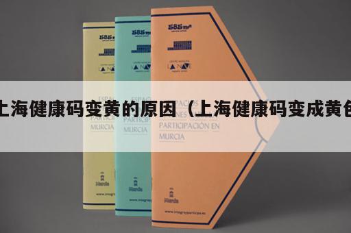 上海健康码变黄的原因（上海健康码变成黄色）