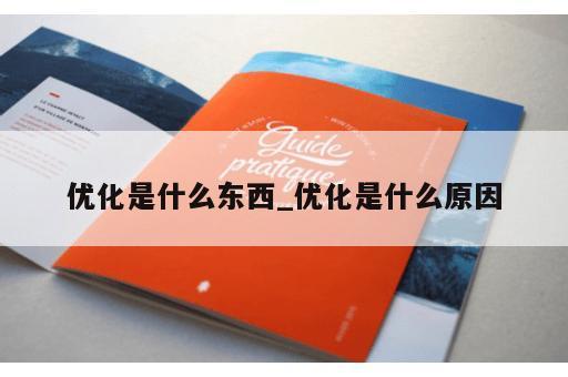 优化是什么东西_优化是什么原因