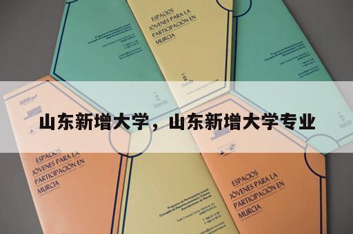 山东新增大学，山东新增大学专业