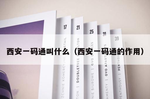 西安一码通叫什么（西安一码通的作用）