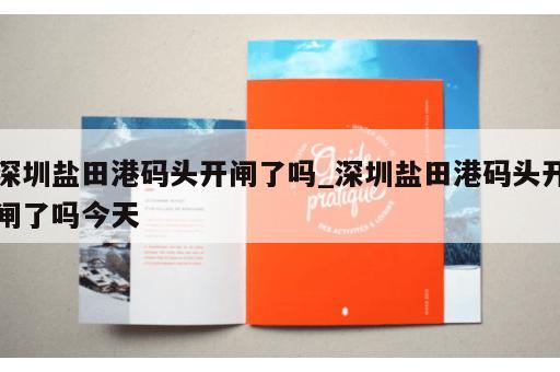 深圳盐田港码头开闸了吗_深圳盐田港码头开闸了吗今天