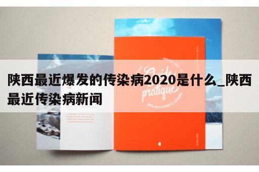 陕西最近爆发的传染病2020是什么_陕西最近传染病新闻