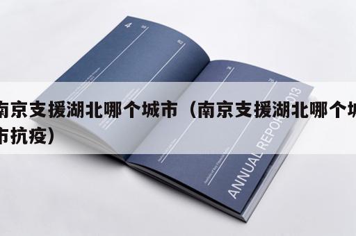 南京支援湖北哪个城市（南京支援湖北哪个城市抗疫）