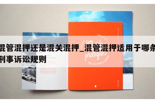 混管混押还是混关混押_混管混押适用于哪条刑事诉讼规则 混管混押还是混关混押_混管混押适用于哪条刑事诉讼规则