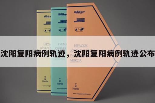 沈阳复阳病例轨迹，沈阳复阳病例轨迹公布