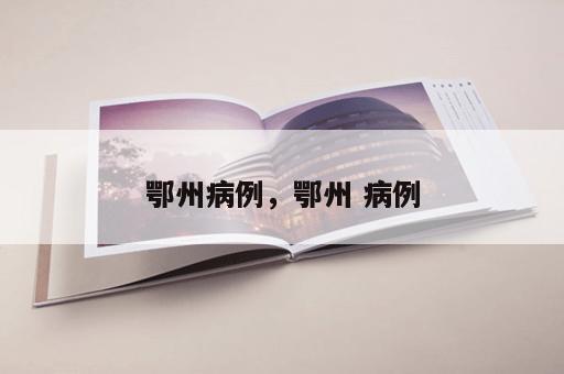鄂州病例，鄂州 病例