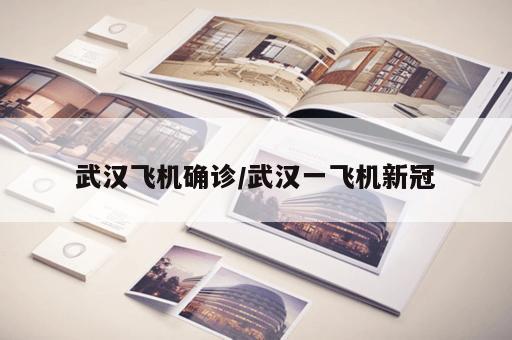 武汉飞机确诊/武汉一飞机新冠