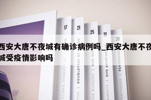 西安大唐不夜城有确诊病例吗_西安大唐不夜城受疫情影响吗