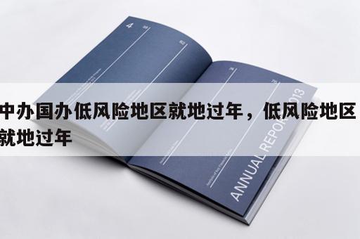 中办国办低风险地区就地过年，低风险地区 就地过年