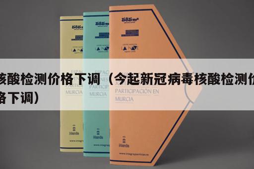核酸检测价格下调（今起新冠病毒核酸检测价格下调）