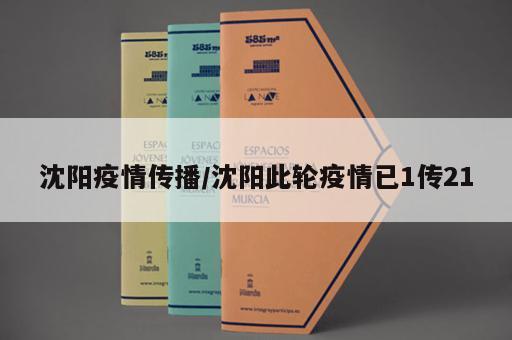 沈阳疫情传播/沈阳此轮疫情已1传21 沈阳疫情传播/沈阳此轮疫情已1传21