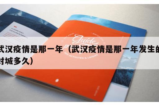 武汉疫情是那一年（武汉疫情是那一年发生的封城多久）