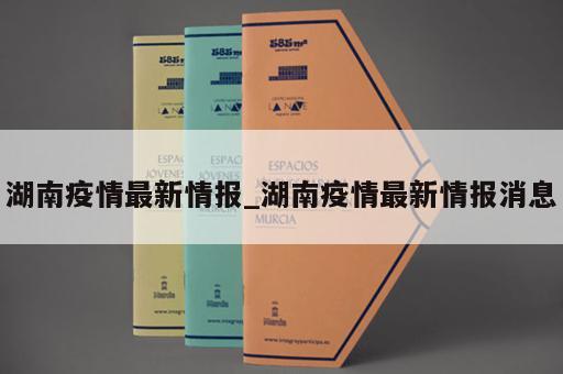 湖南疫情最新情报_湖南疫情最新情报消息