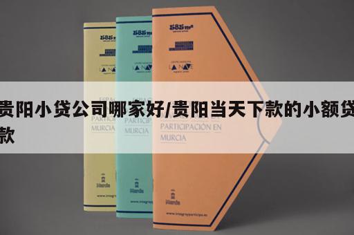 贵阳小贷公司哪家好/贵阳当天下款的小额贷款